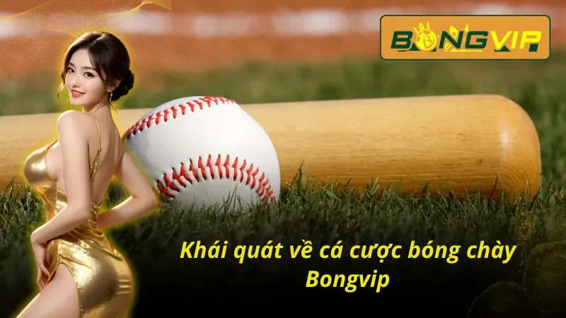 Tổng quan những thông tin cơ bản về bóng chày bongvip