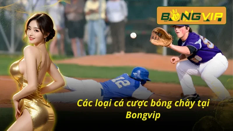 Cá cược bóng chày bongvip trải nghiệm đa dạng và hấp dẫn