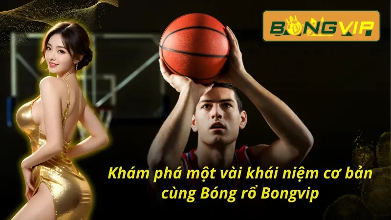 Khám phá một vài khái niệm cùng Bóng rổ Bongvip