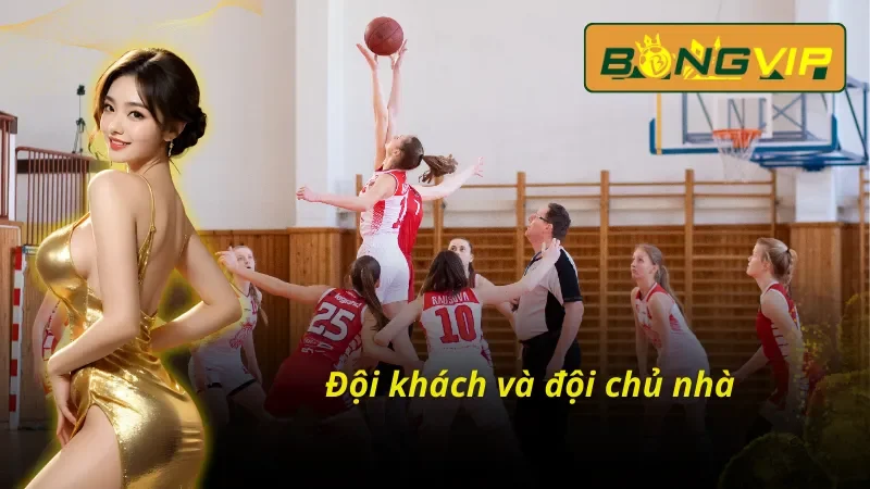 Phân biệt các khái niệm cơ bản cùng Bóng rổ Bongvip