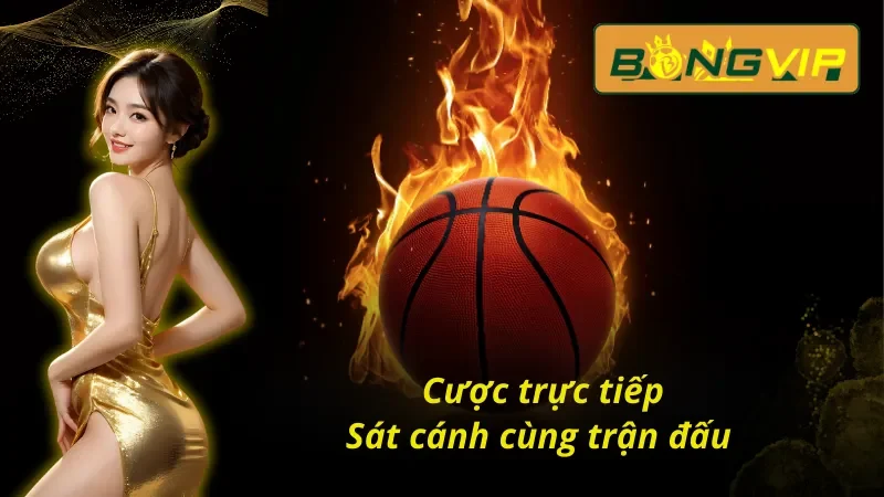 Bóng rổ Bongvip với hệ thống cá cược đẳng cấp  