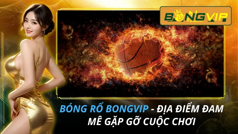 Bóng Rổ - Điểm Đến Của Đam Mê Cá Cược Bongvip Năm 2026