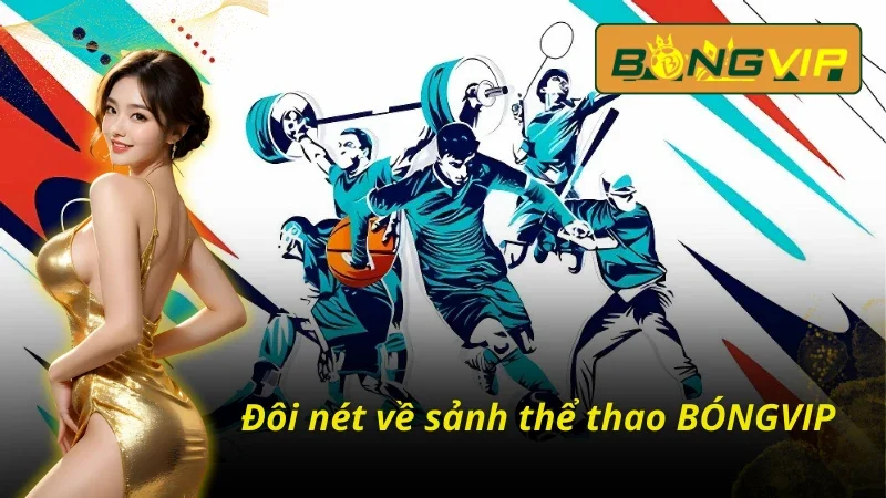 Những nét cơ bản về sảnh BÓNGVIP 