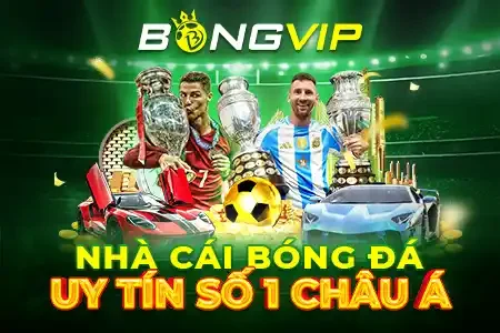bongvip banner moblie 450x300 1