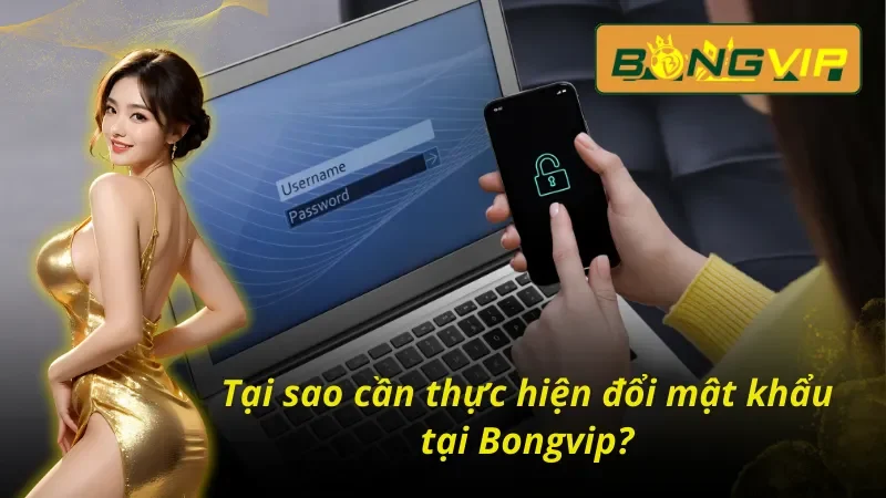 Cách đổi mật khẩu Bongvip an toàn