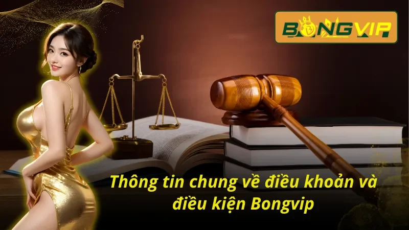 Thông tin chung về điều khoản và điều kiện Bongvip