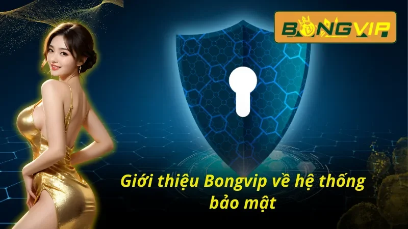 Giới thiệu Bongvip với cam kết an toàn cho mọi hội viên
