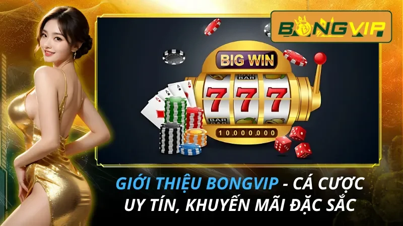 Giới Thiệu Bongvip