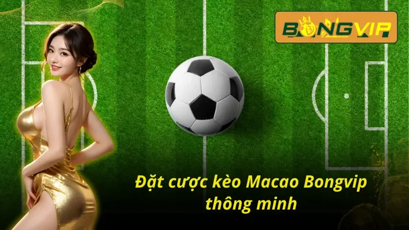 Sơ lược về kèo Macao Bongvip