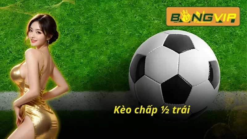 Kèo chấp ½ trái hấp dẫn trong kèo macao Bongvip
