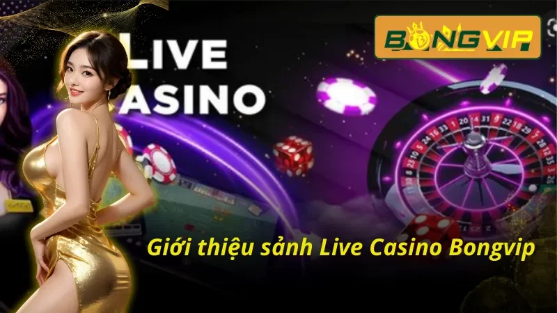 Live Casino tại Bongvip và những thông tin đáng chú ý