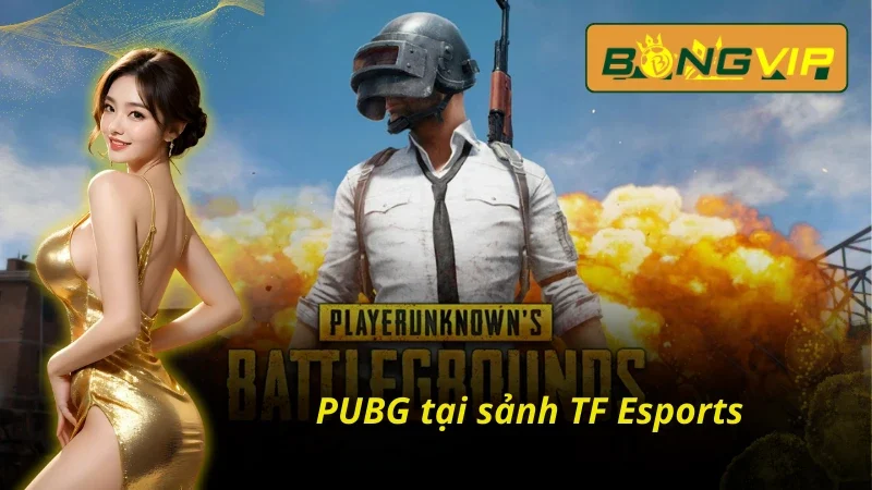 Game sinh tồn PUBG tại TF Esports trên Bongvip