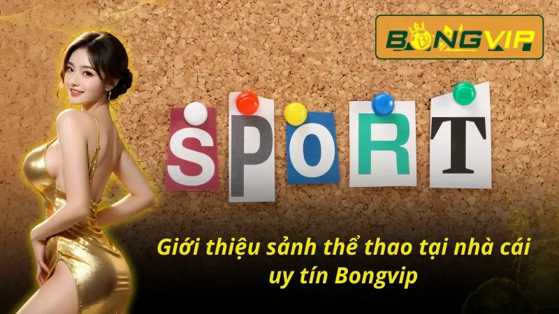 Đánh giá tổng quan về sảnh thể thao Bongvip 