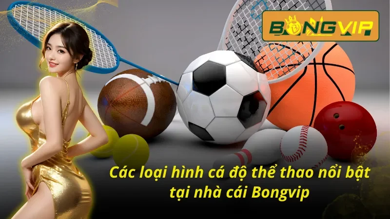 Một số hình thức cá cược thể thao Bongvip hấp dẫn nhất 
