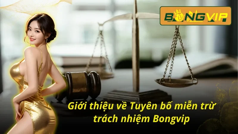 Giới thiệu chung về Tuyên bố miễn trừ trách nhiệm Bongvip