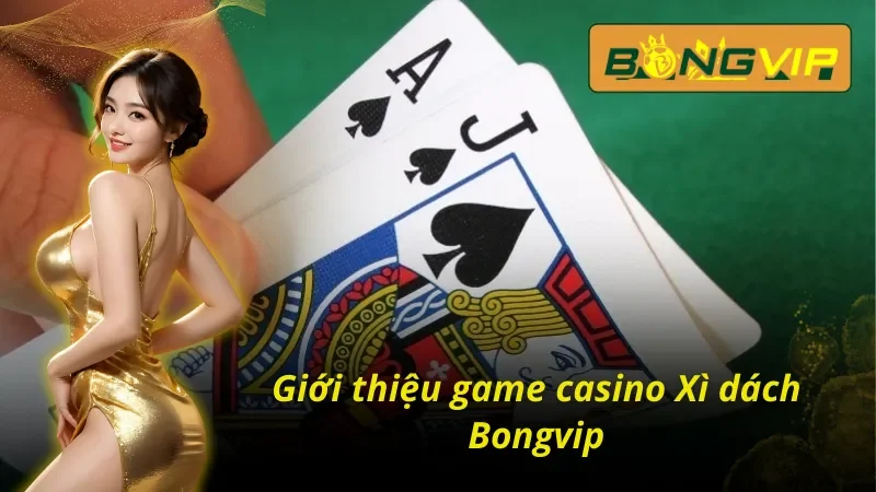 Thông tin cơ bản về Xì dách tại Bongvip