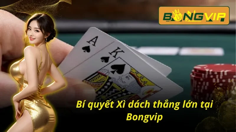 Bí quyết chinh phục Xì dách tại Bongvip