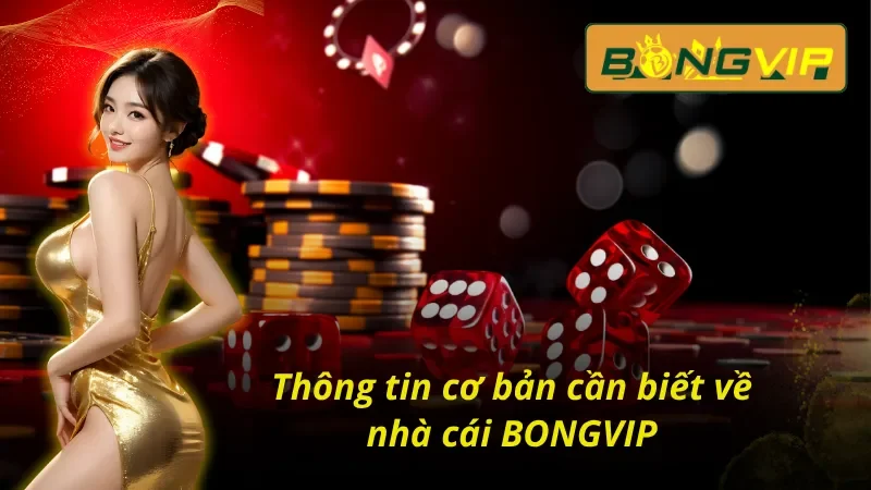 Đôi nét sơ lược về nhà cái uy tín BONGVIP